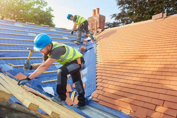 Best Roof Moss and Algae Removal  in Five Corners, WA